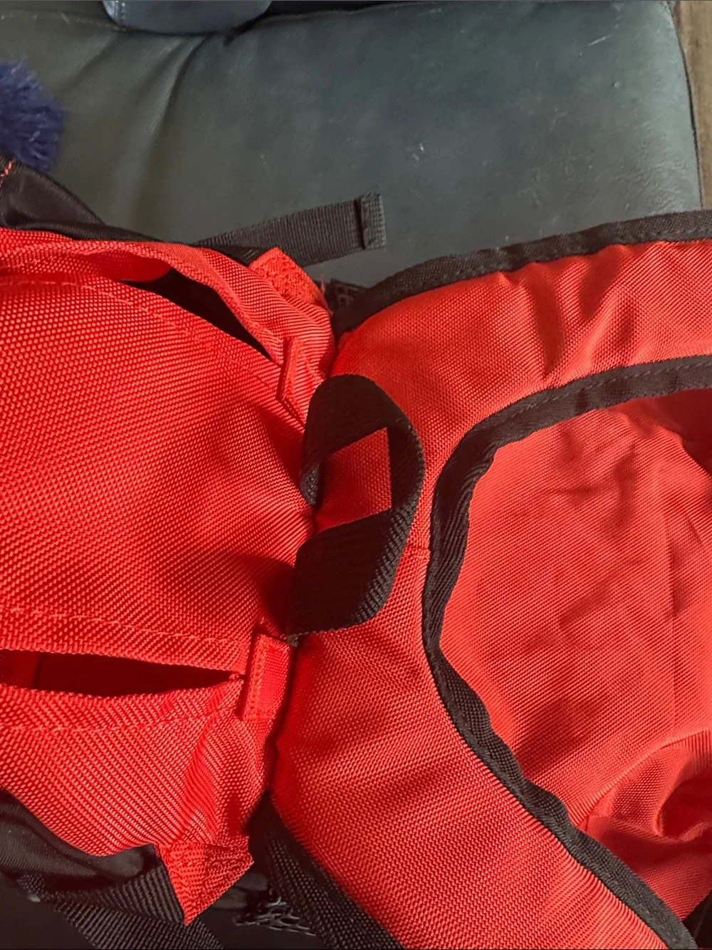 K9 Sport Sack Orange Red Backpack